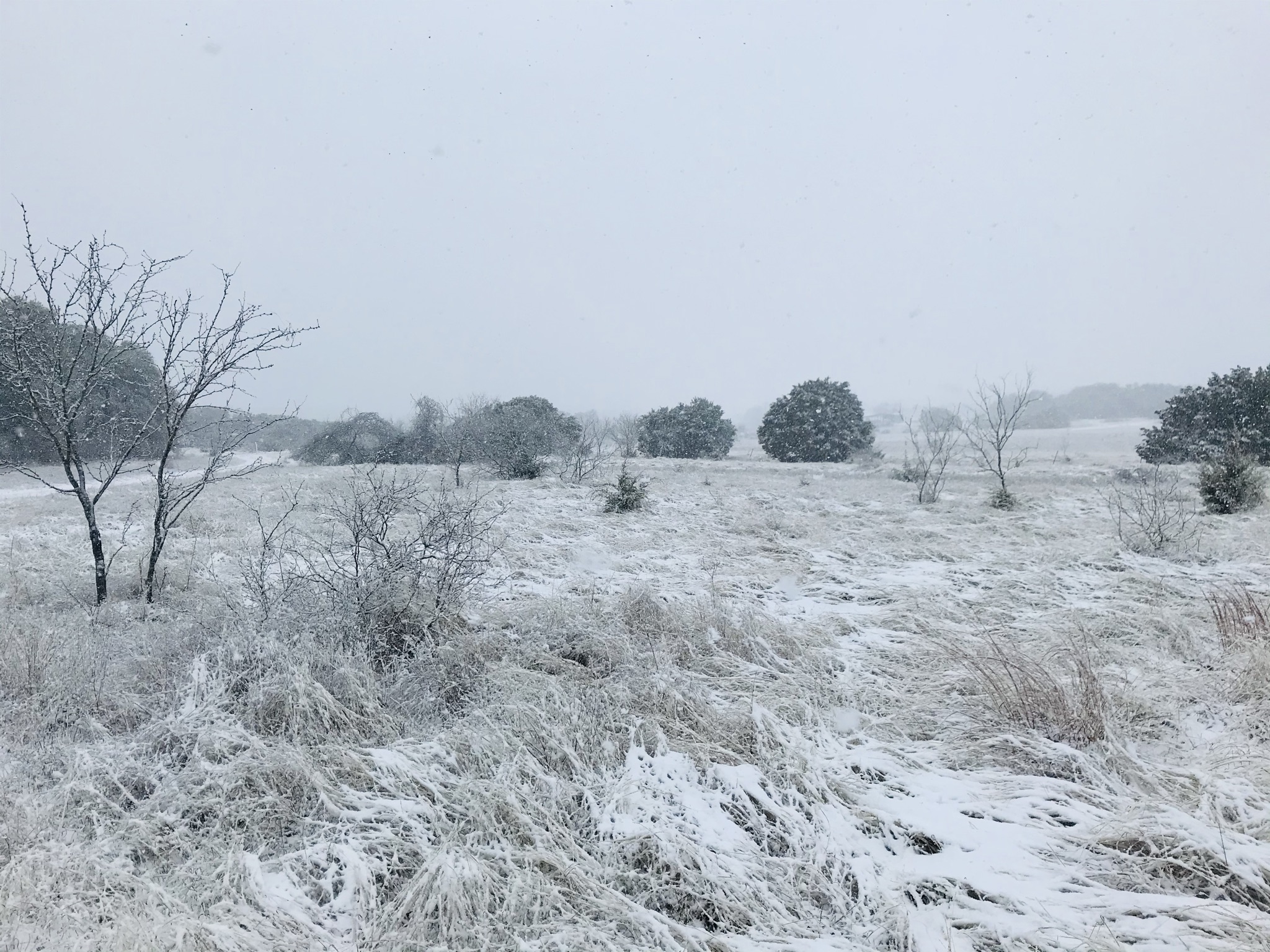 River Ranch County Park snow 2021 (1)
